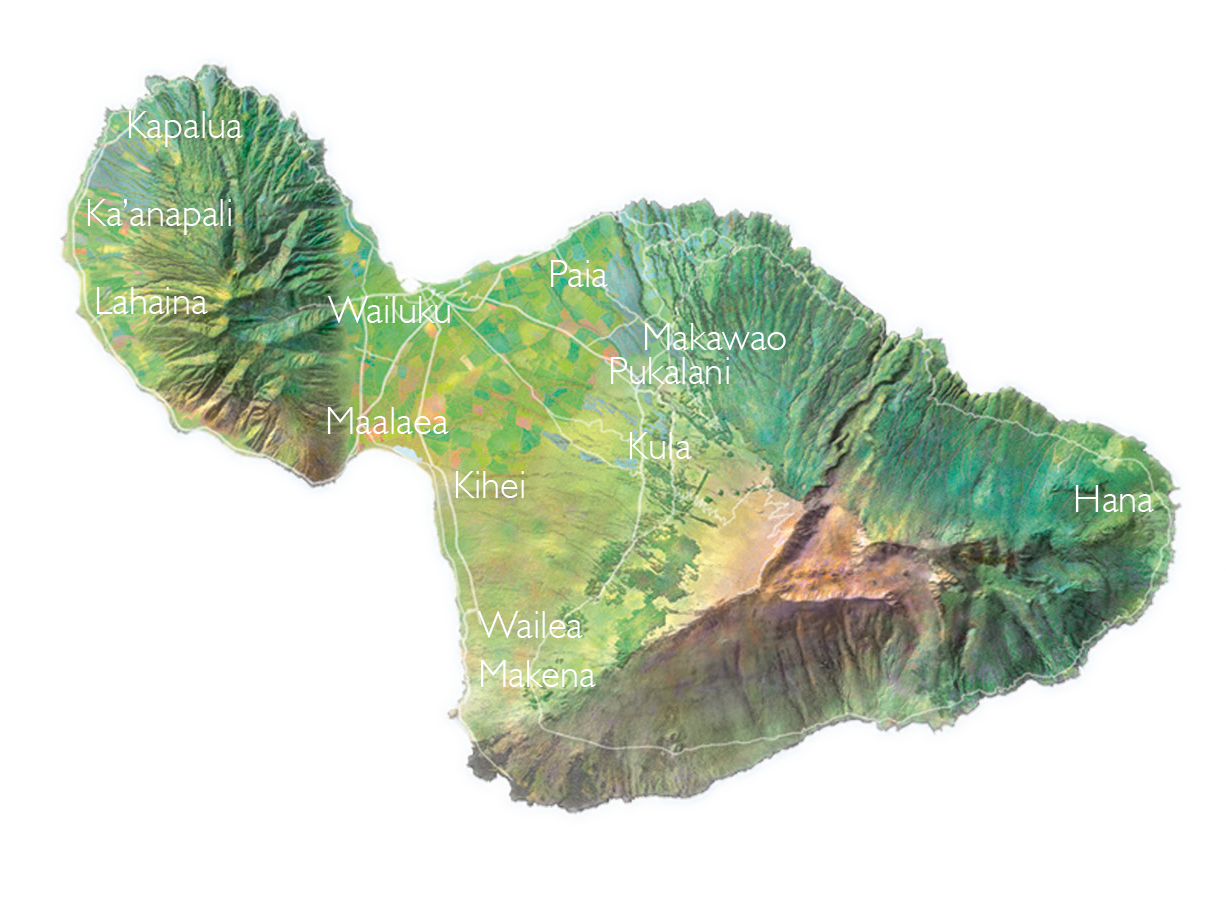 Maui Real Estate Map